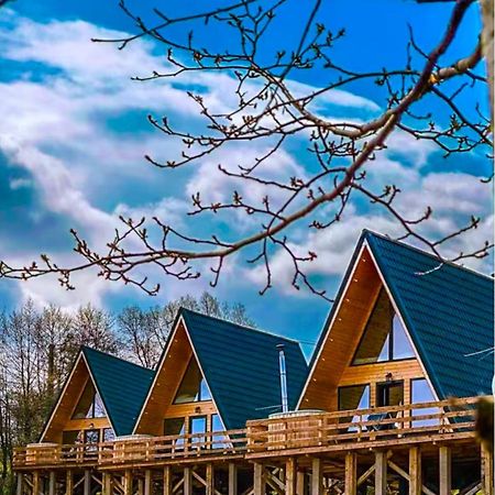 Cabana 365 Brasov Ngoại thất bức ảnh