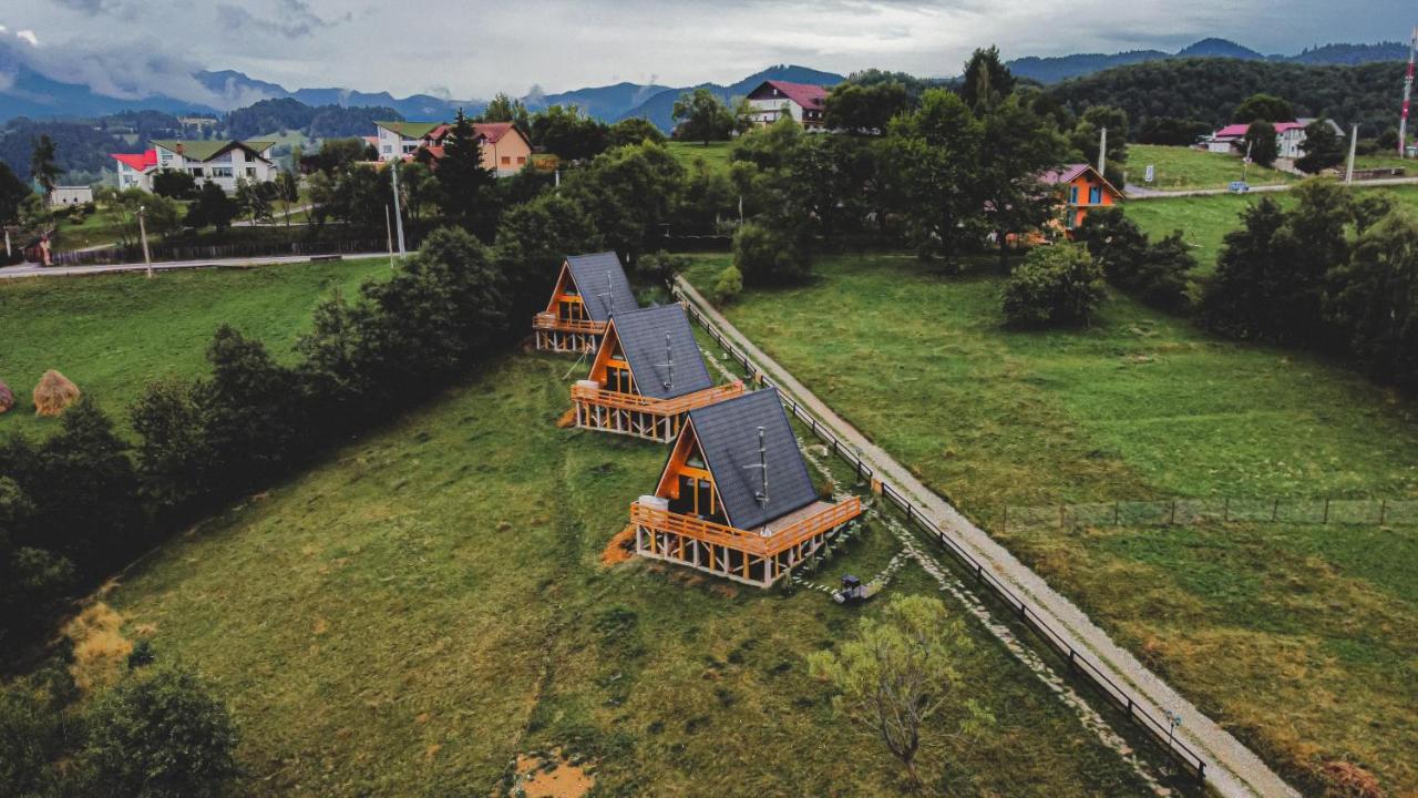 Cabana 365 Brasov Ngoại thất bức ảnh