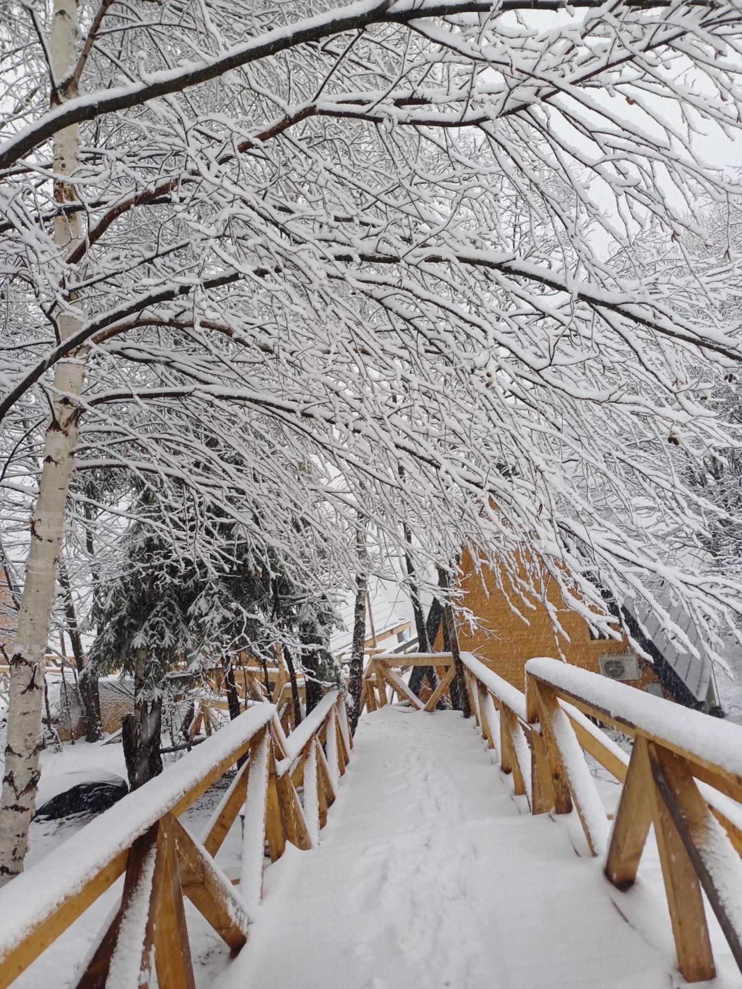 Cabana 365 Brasov Ngoại thất bức ảnh
