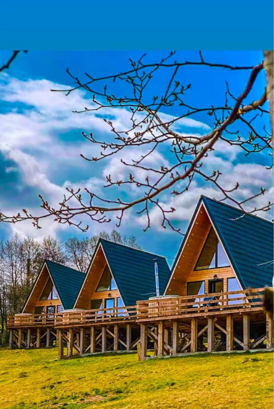 Cabana 365 Brasov Ngoại thất bức ảnh