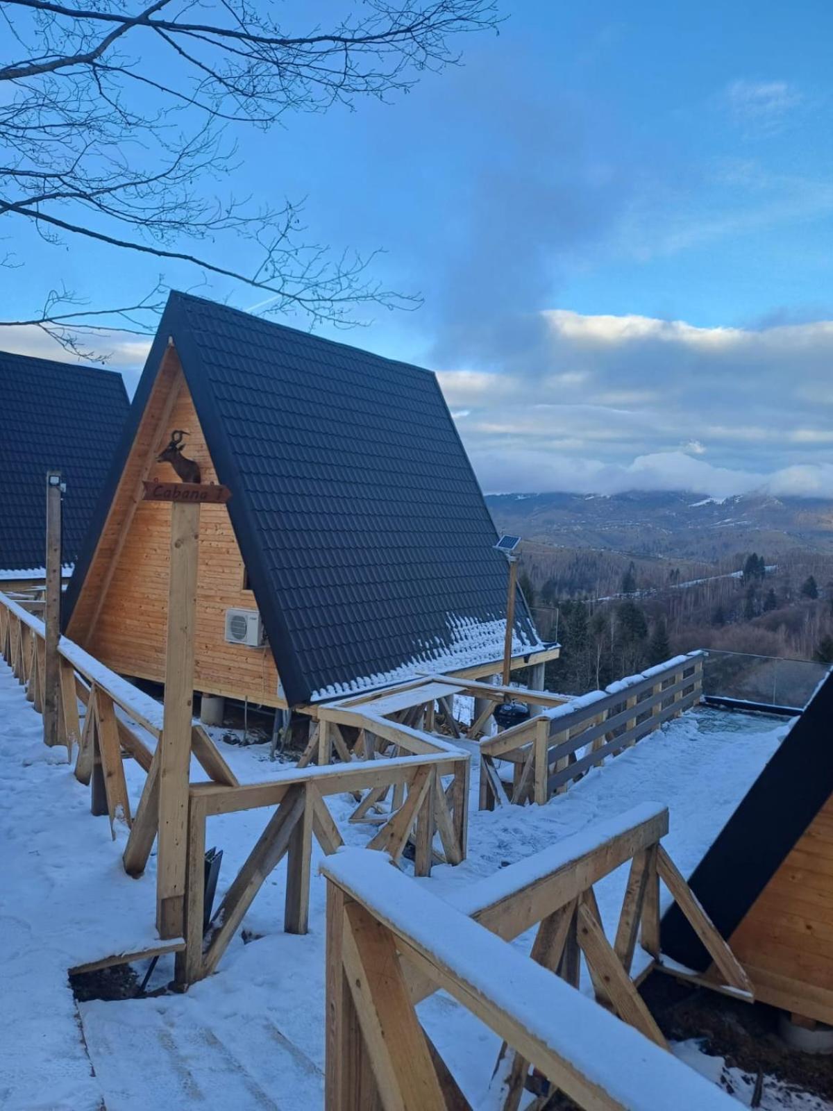Cabana 365 Brasov Ngoại thất bức ảnh