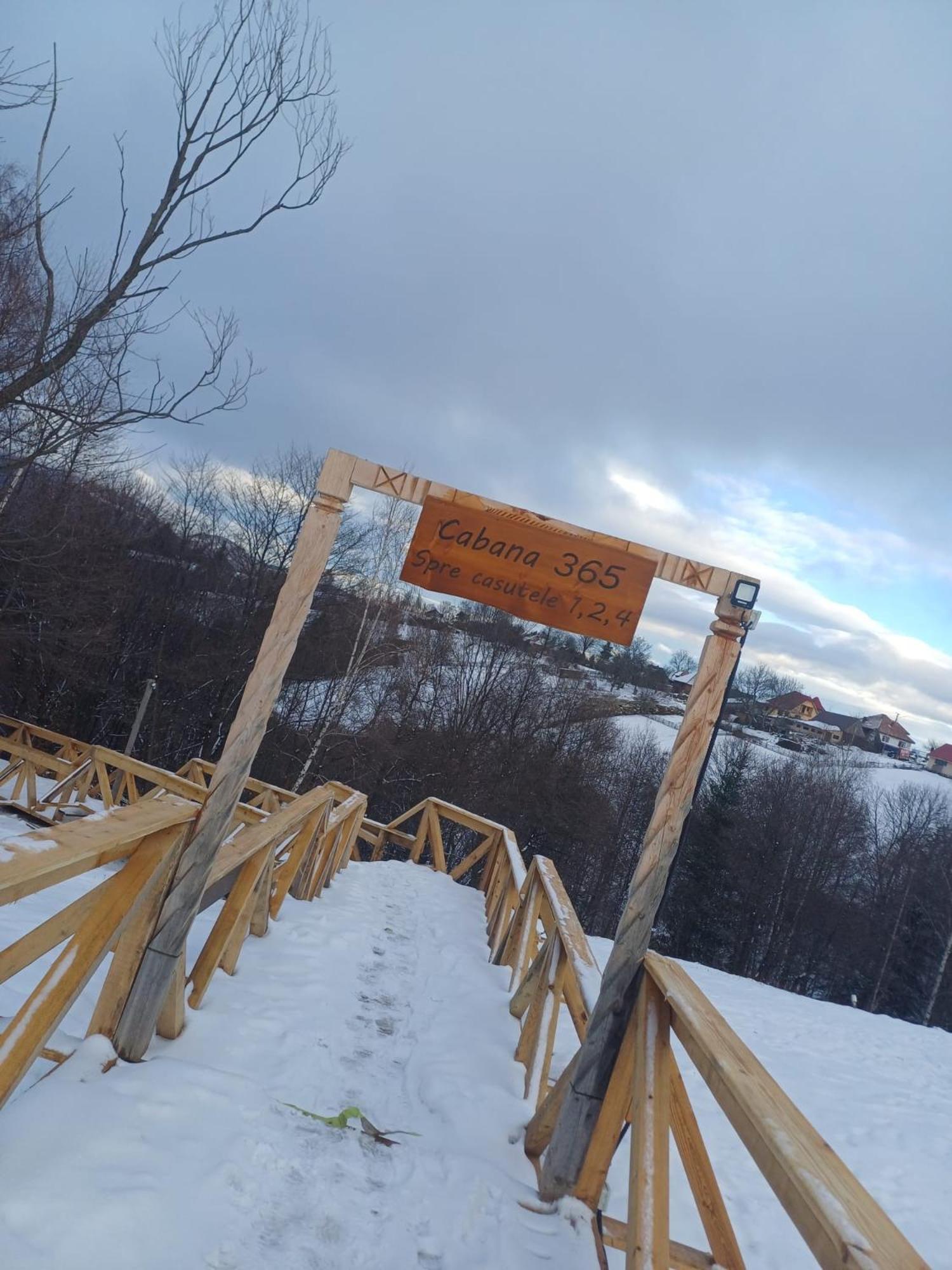 Cabana 365 Brasov Ngoại thất bức ảnh
