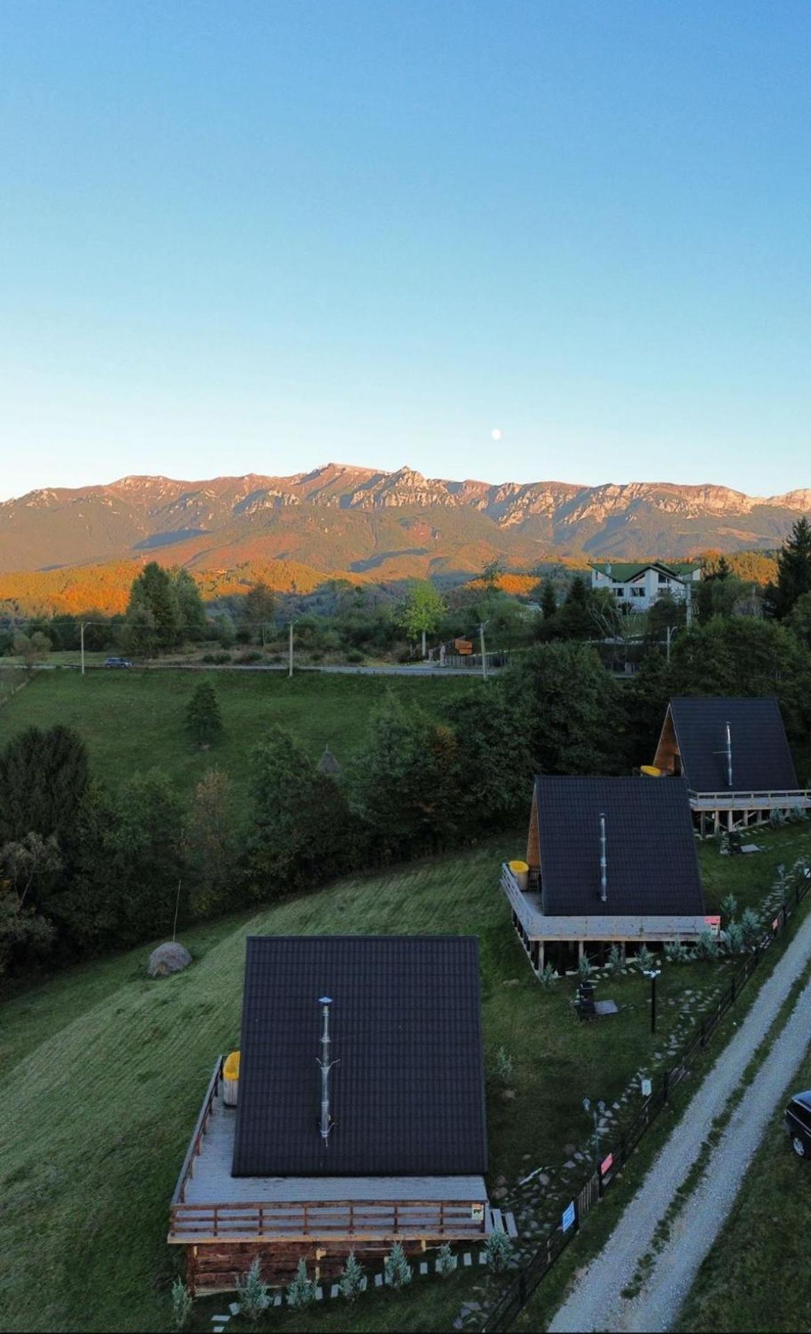 Cabana 365 Brasov Ngoại thất bức ảnh