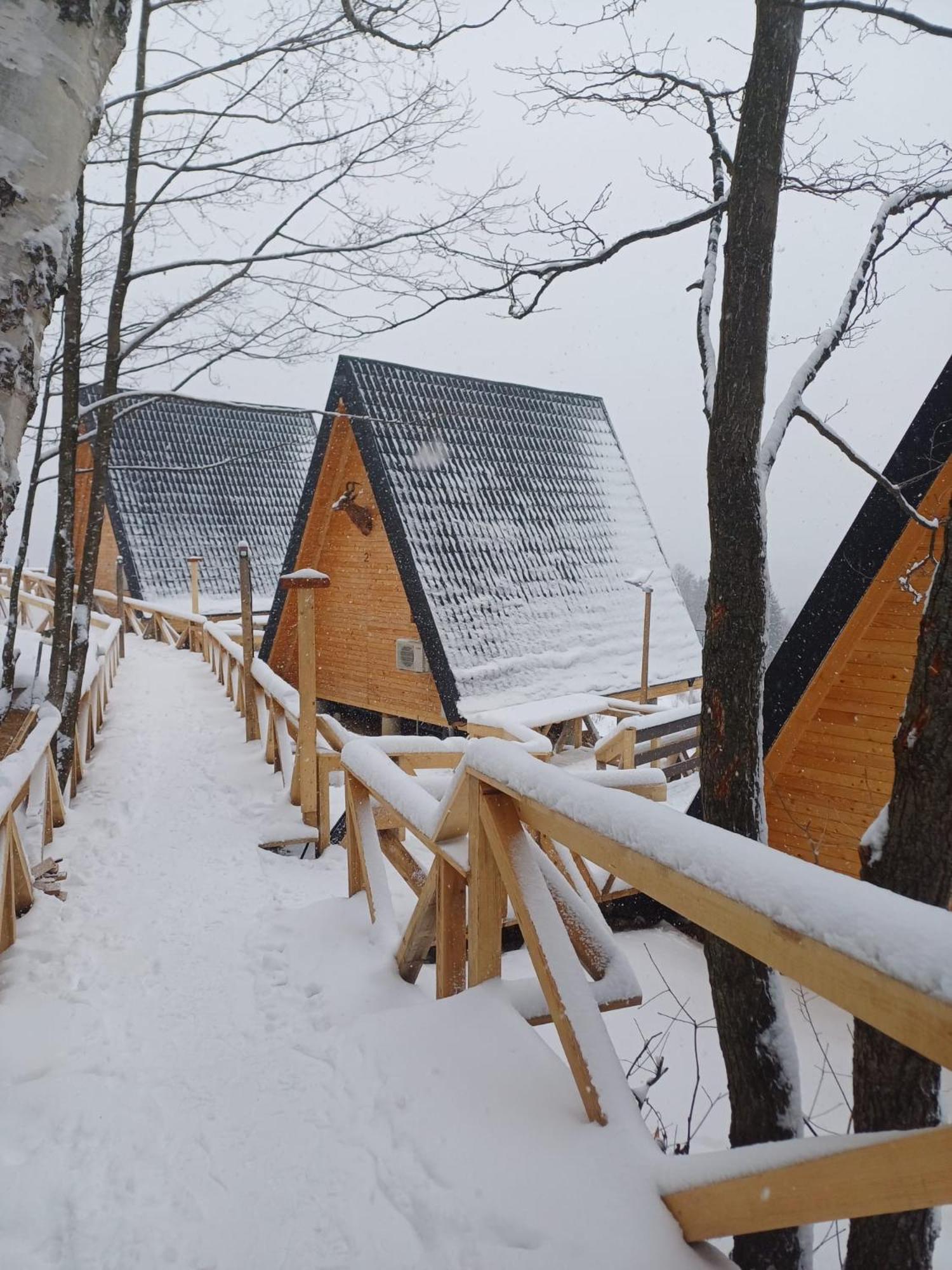 Cabana 365 Brasov Ngoại thất bức ảnh
